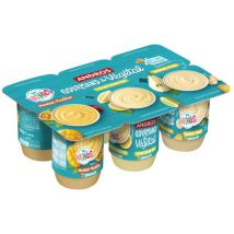 Andros gourmand & végétal mixés fruits exotique 6x 100g