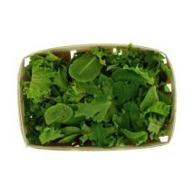 Mélange de jeunes pousses catégorie 1- 125g