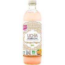 Ucha kombucha thé parfumé mangue passion 75cl Commerce Équitable