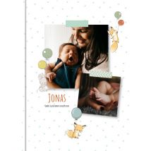 Digital "Baby Tagebuch" im Format A4 hoch