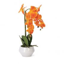 Orchidee 52cm orange, im Keramiktopf