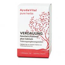 AYUDA VITAL Verdauung Fenchel