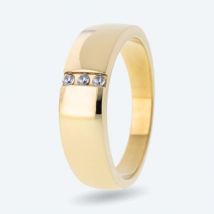 Ring Titan vergoldet mit Zirkonia