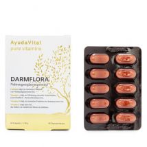 AYUDA VITAL Darmflora 60 Kapseln