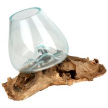 Darimana Glas auf Kaffeewurzel