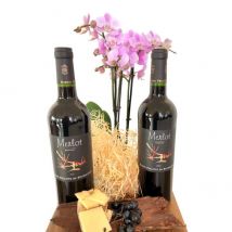 Rothschild Merlot 2er