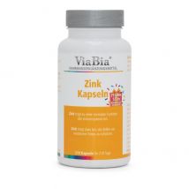 ViaBia Zink 210 Kapseln