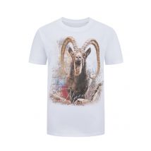 Almtracht T-Shirt mit Steinbock-Motiv aus Bio-Baumwolle
