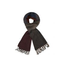 Dante Kaschmirschal mit tonalen Farbfeldern und Fransen in 0