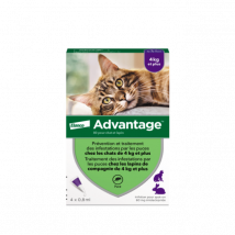 Advantage - Anti-puces pour chats Plus 4 kg Boîte 4 Pipettes