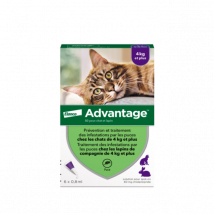 Advantage - Anti-puces pour chats Plus 4 kg Boîte 6 Pipettes