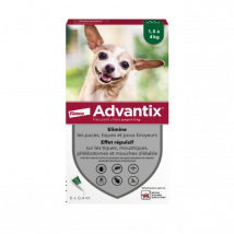 Advantix - soin antiparasitaire pour chiens < 4 kg Boîte de 6 Pipettes