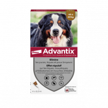 Advantix - soin antiparasitaire pour chiens Plus de 40 kg Boîte de 4 Pipettes