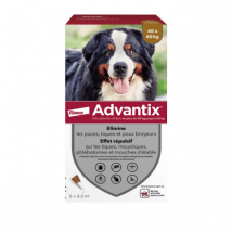 Advantix - soin antiparasitaire pour chiens Plus de 40 kg Boîte de 6 Pipettes