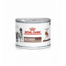 Royal Canin -Boîtes Veterinary Diet Recovery pour chiens et chats Boîte de 195 g (DLUO 6 mois)- Traitement:Convalescence