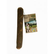 Bubimex -Bâton d'olivier pour chien - Taille M, 100-220 g (20-26 cm)