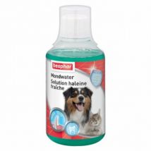 Beaphar -Solution haleine fraîche pour chat ou chien - 250 ml- Senteur :Menthe