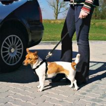 Trixie -Ceinture de sécurité Friends on tour pour chiens Taille M Longueur 50/70 cm (Ex : Border Collie)