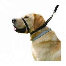 The Canny Company -Collier licol Canny Collar pour chien T6