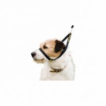 The Canny Company -Collier licol Canny Collar pour chien T3