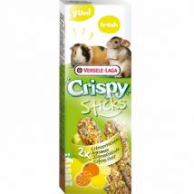 Versele Laga -Crispy Sticks aux agrumes pour rongeurs - Lot de 3- Fruits | Miel
