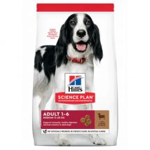 Hill's -Croquettes Science Plan Canine Medium Adulte Agneau - Sac de 14 kg- Agneau