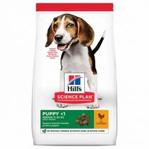 Hill's - Science Plan Canine Puppy Medium Poulet pour croissance - Sac de 2,5 kg- Dinde | Poulet