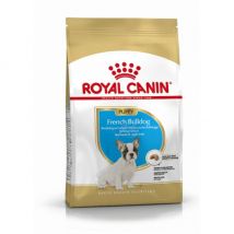 Royal Canin -Croquettes Bouledogue français Junior - Sac de 3 kg (Fin de DLUO)- Riz | Volaille