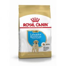 Royal Canin -Croquettes Puppy Labrador Retriever chiot de 2 à 15 mois - Sac de 3 kg (DLUO 3 mois)- Maïs | Riz | Volaille