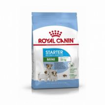 Royal Canin -Croquettes Mini Starter Mother & Babydog - Sac de 4 kg (Fin de DLUO)- Volaille | Riz