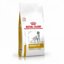 Royal Canin - Veterinary Diet Urinary S/O Moderate calorie pour chiens - Sac de 1,5 kg- Traitement:Infections urinaires, Calculs | Obésité- Volaille