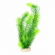 Aqua Della -Décoration pour aquarium plante artificielle verte - Taille L