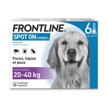 Frontline - Spot On soin antiparasitaire pour chiens 20/40 kg Boîte 6 Pipettes