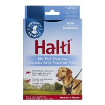 Company of Animals -Harnais Non Pull anti-traction Halti pour chien - Taille M
