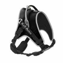 Kn'1 -Harnais pour chien actif Kn'1 Active Start Coloris Noir Taille L