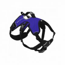 Kn'1 -Harnais randonnée et assistance Kn'1 Active Grip pour chien Taille S Coloris Bleu