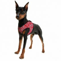 Aqua Coolkeeper -Veste rafraîchissante rouge pour chien XXS T.20-26 cm