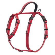 Company of Animals -Harnais Walking Halti pour chien - Taille S Rouge