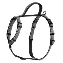 Company of Animals -Harnais Walking Halti pour chien - Taille S Noir