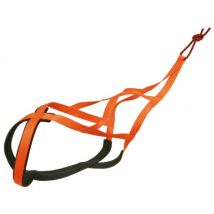 Polytrans - Harnais X-Back Fluo pour chien - T55 (Orange) - Polyester Nylon