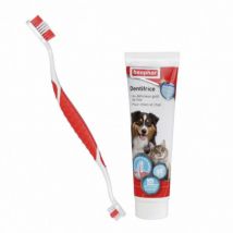Beaphar -Kit d'hygiène dentaire Dentifrice 100g + brosse à dents 2 têtes