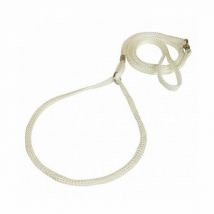 Difac -Laisse collier de présentation pour chien Coloris Blanc Longueur 120 cm - Diamètre 3 mm