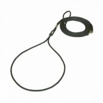 Difac -Laisse collier de présentation pour chien Coloris Noir Longueur 120 cm - Diamètre 3 mm