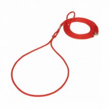 Difac -Laisse collier de présentation pour chien Coloris Rouge Longueur 120 cm - Diamètre 5 mm