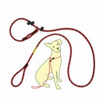 P2D -Laisse d'éducation CoolDog pour chien Coloris Rouge Taille 2