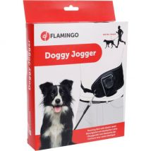 Flamingo -Laisse de jogging canicross pour chien