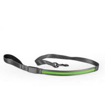 Duvoplus -Laisse flash light usb nylon pour chien - vert