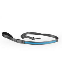 Duvoplus -Laisse flash light usb nylon pour chien - bleu