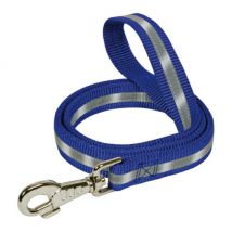 Difac -Laisse fluorescente en nylon - Bleue