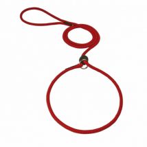 Difac -Laisse lasso ronde en corde tressée unicolore - 1,5 m Coloris Rouge